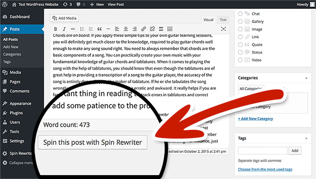 You can easily spin posts and pages from your WordPress admin panel